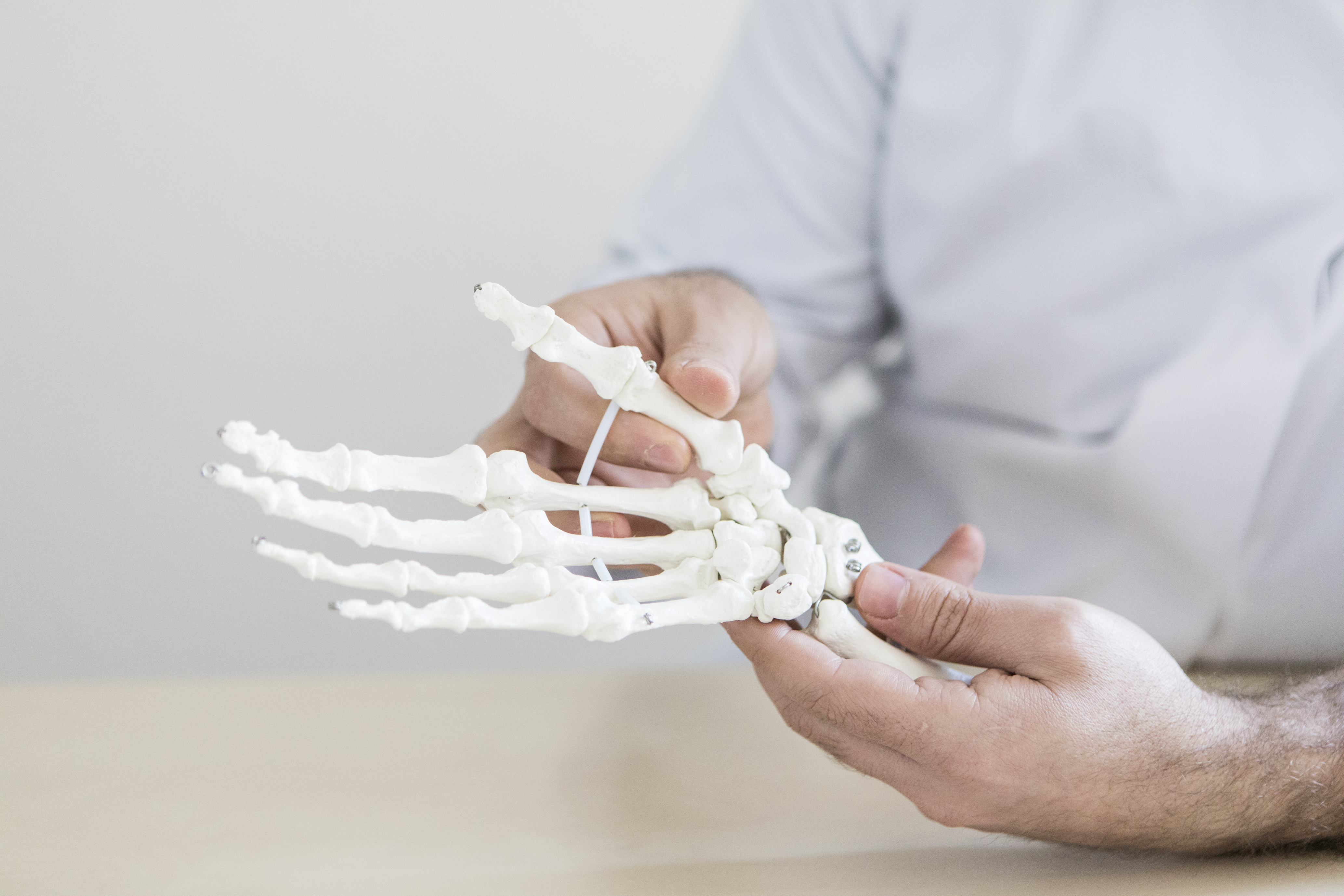 Ein Arzt hält ein Hand-Skelett in beiden Händen