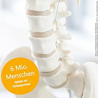 Osteoporose2.jpg